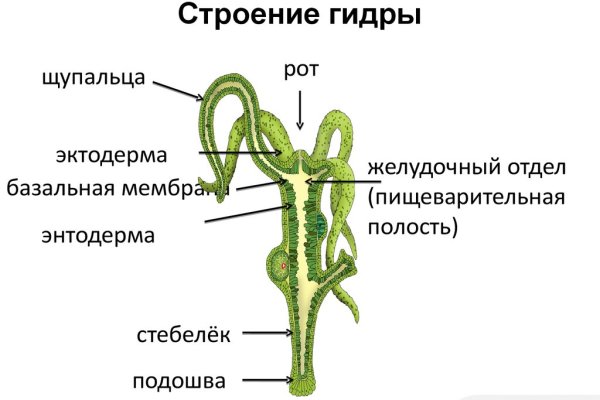 Кракен вход магазин