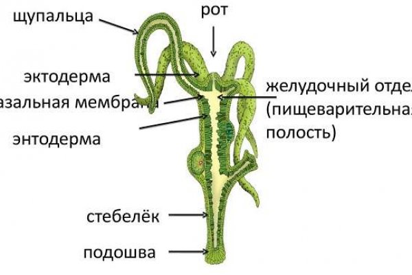 Кракен это даркнет